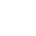 logo light